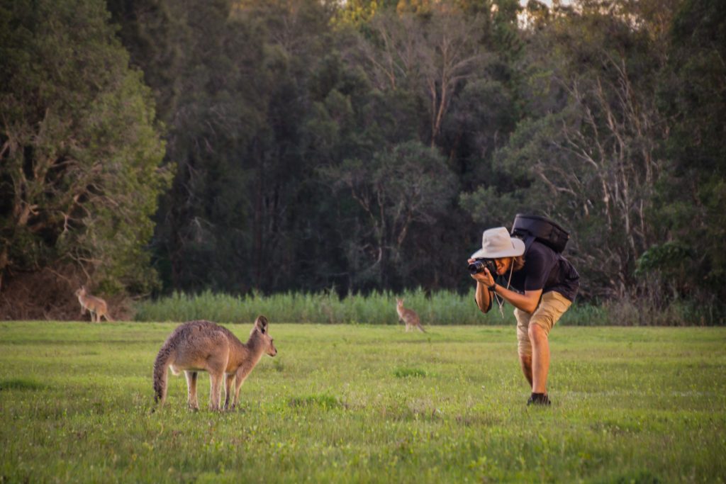 Student taking a picture of a kangaroo